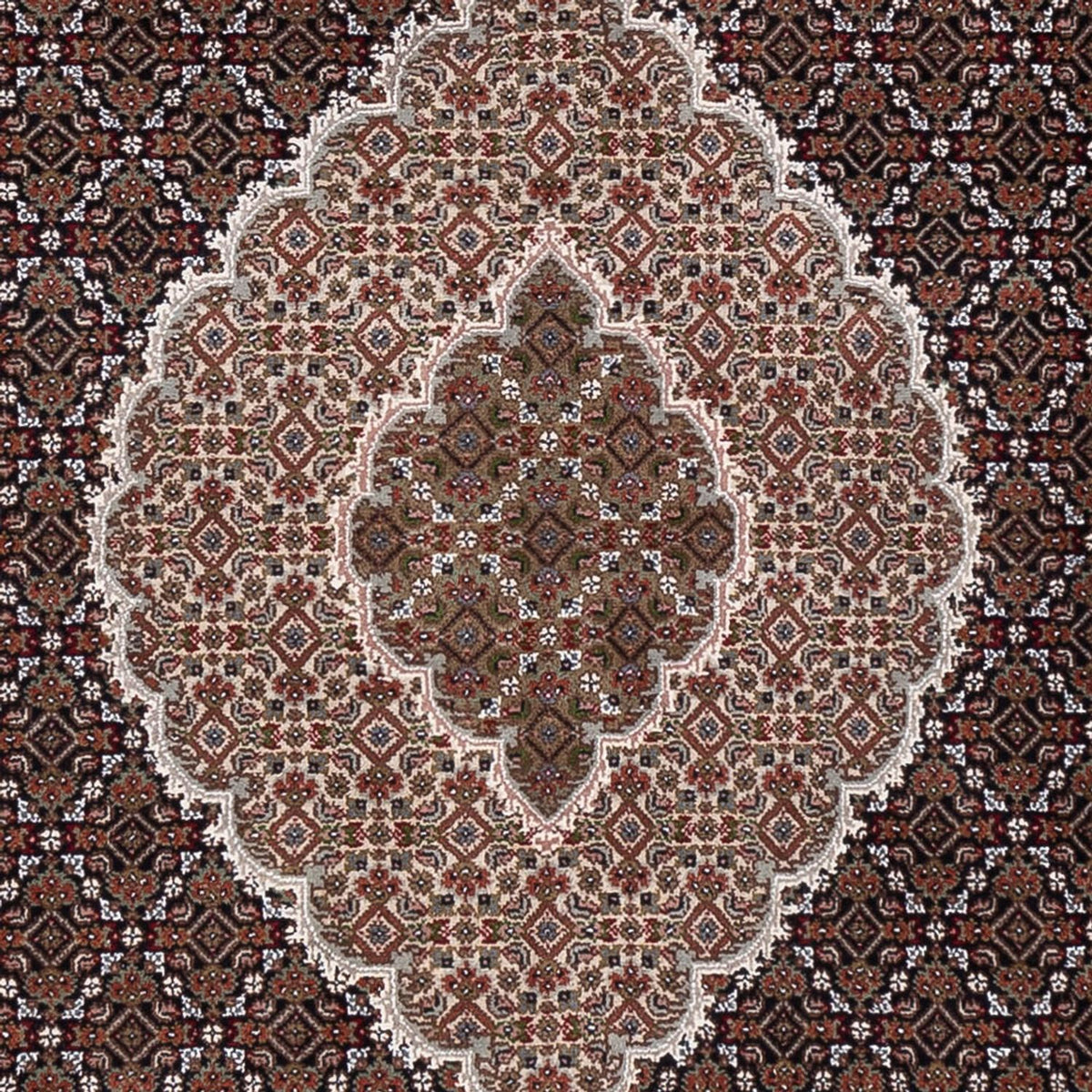 Orientaliska mattor - Tabriz - 305 x 250 cm - mörk beige