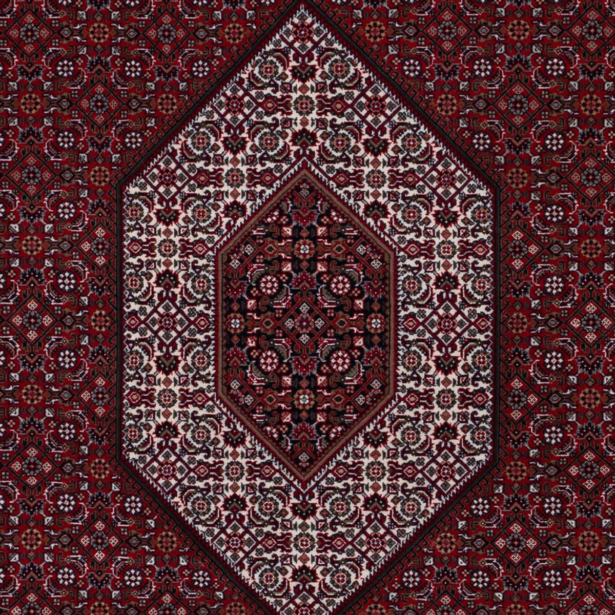 Orientaliska mattor - Bijar - Indus - 298 x 200 cm - mörk kamel