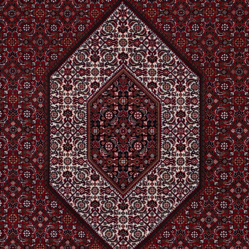 Orientaliska mattor - Bijar - Indus - 298 x 200 cm - mörk kamel