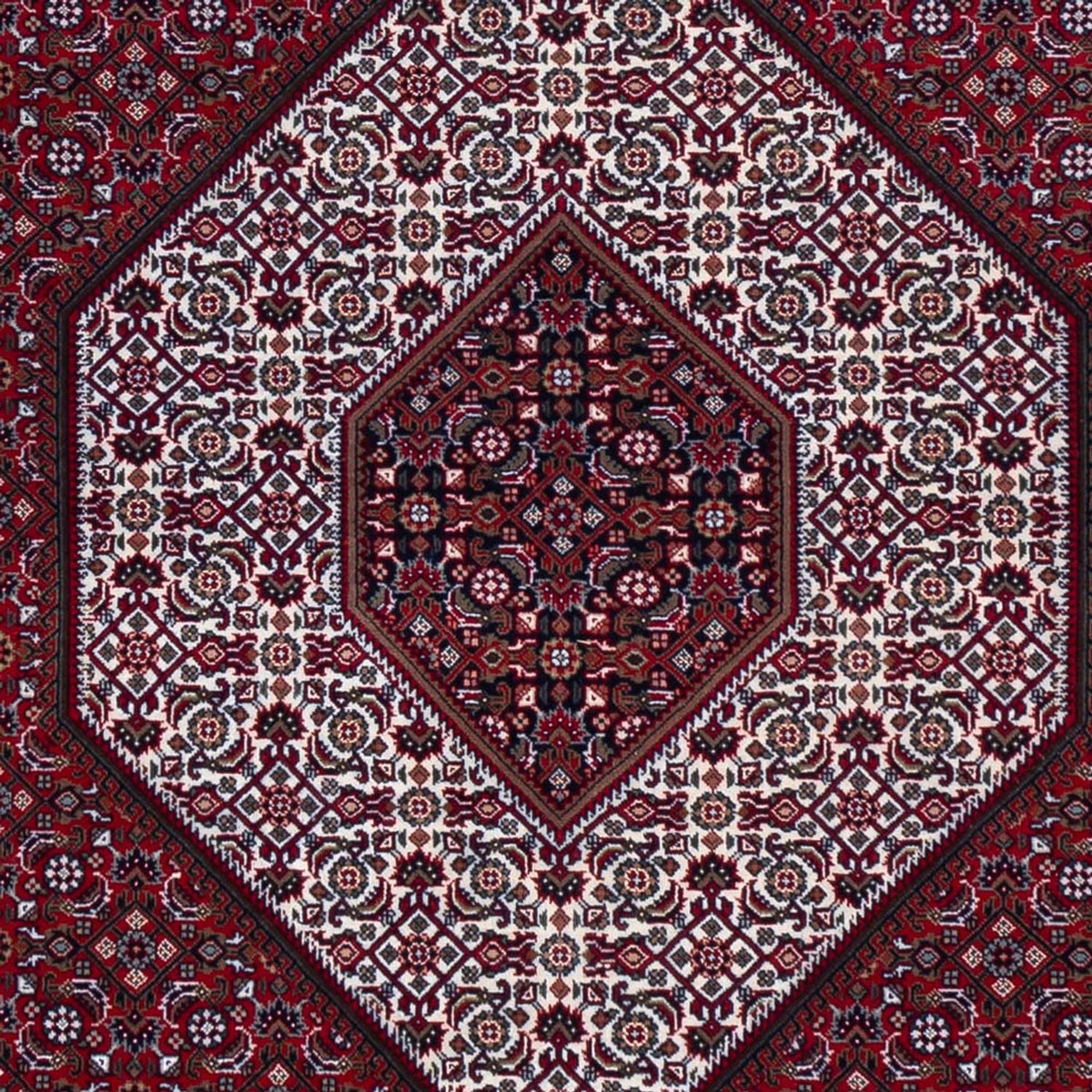 Orientaliska mattor - Bijar - Indus - 305 x 251 cm - mörkröd