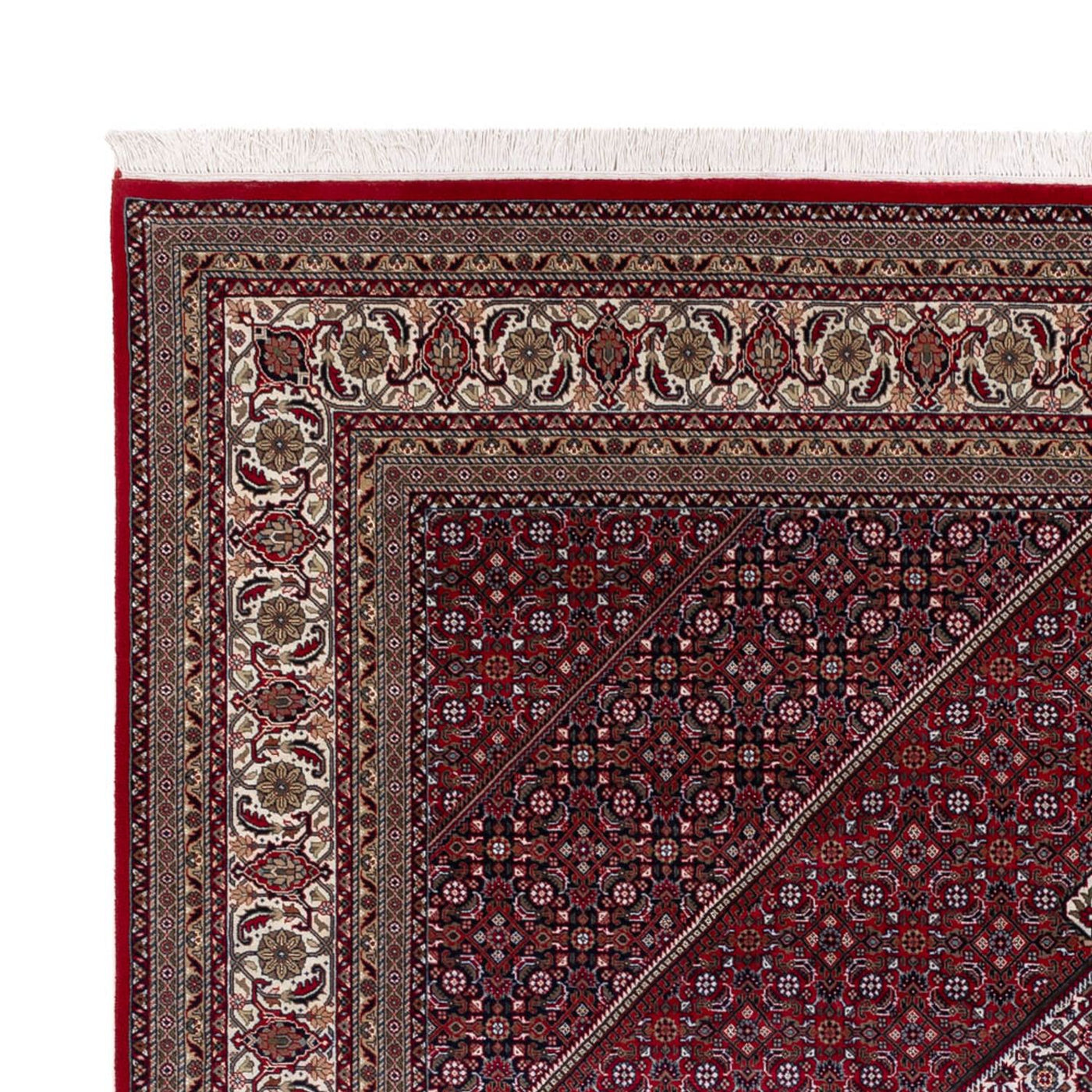 Indo Bidjar Mattan 300x247cm - Oriental Carpet