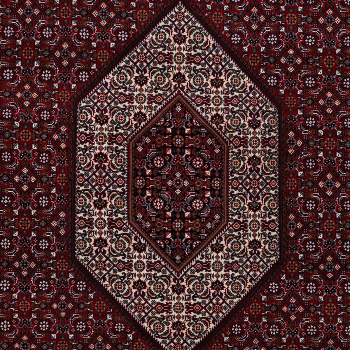Orientaliska mattor - Bijar - Indus - 305 x 198 cm - mörk kamel