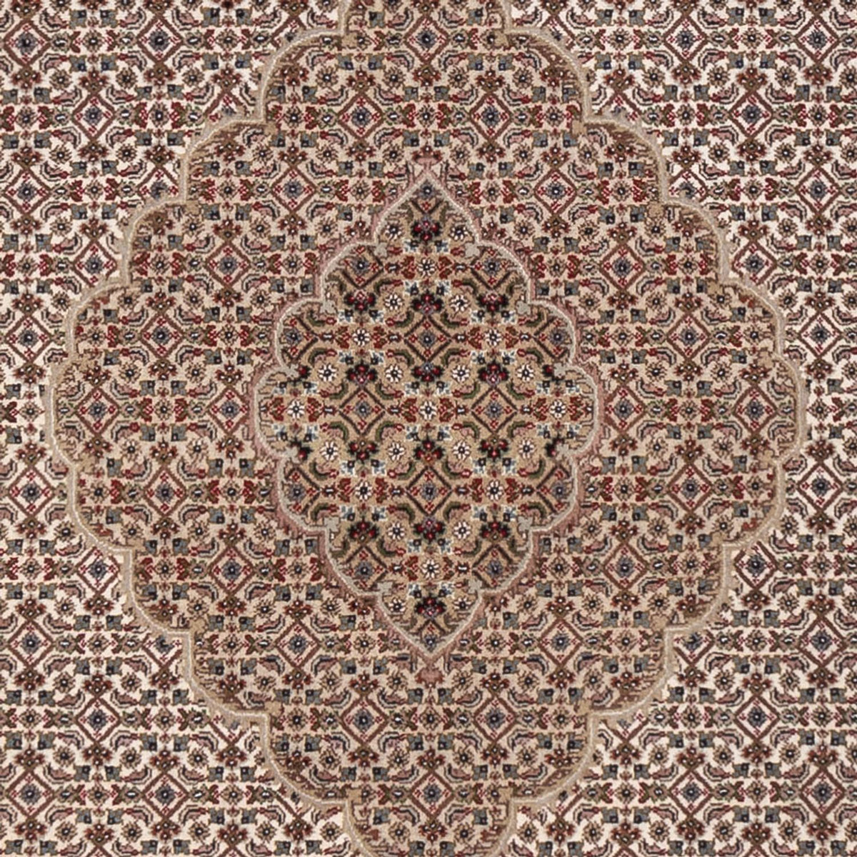Orientaliska mattor - Tabriz - 304 x 249 cm - mörk beige