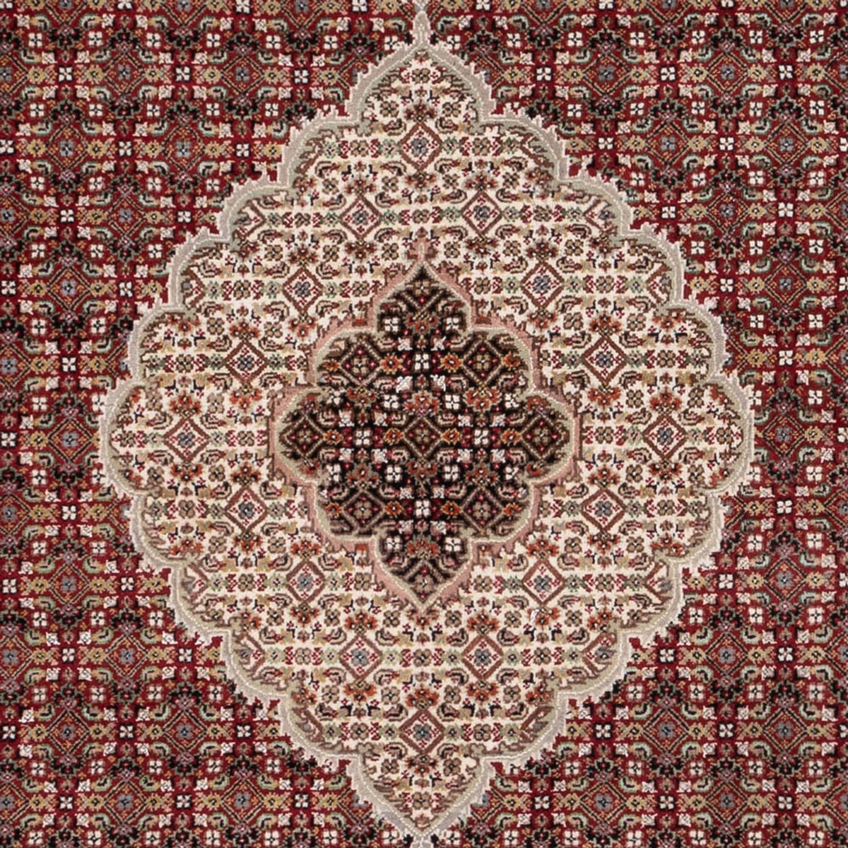 Orientaliska mattor - Tabriz - 255 x 198 cm - mörk beige