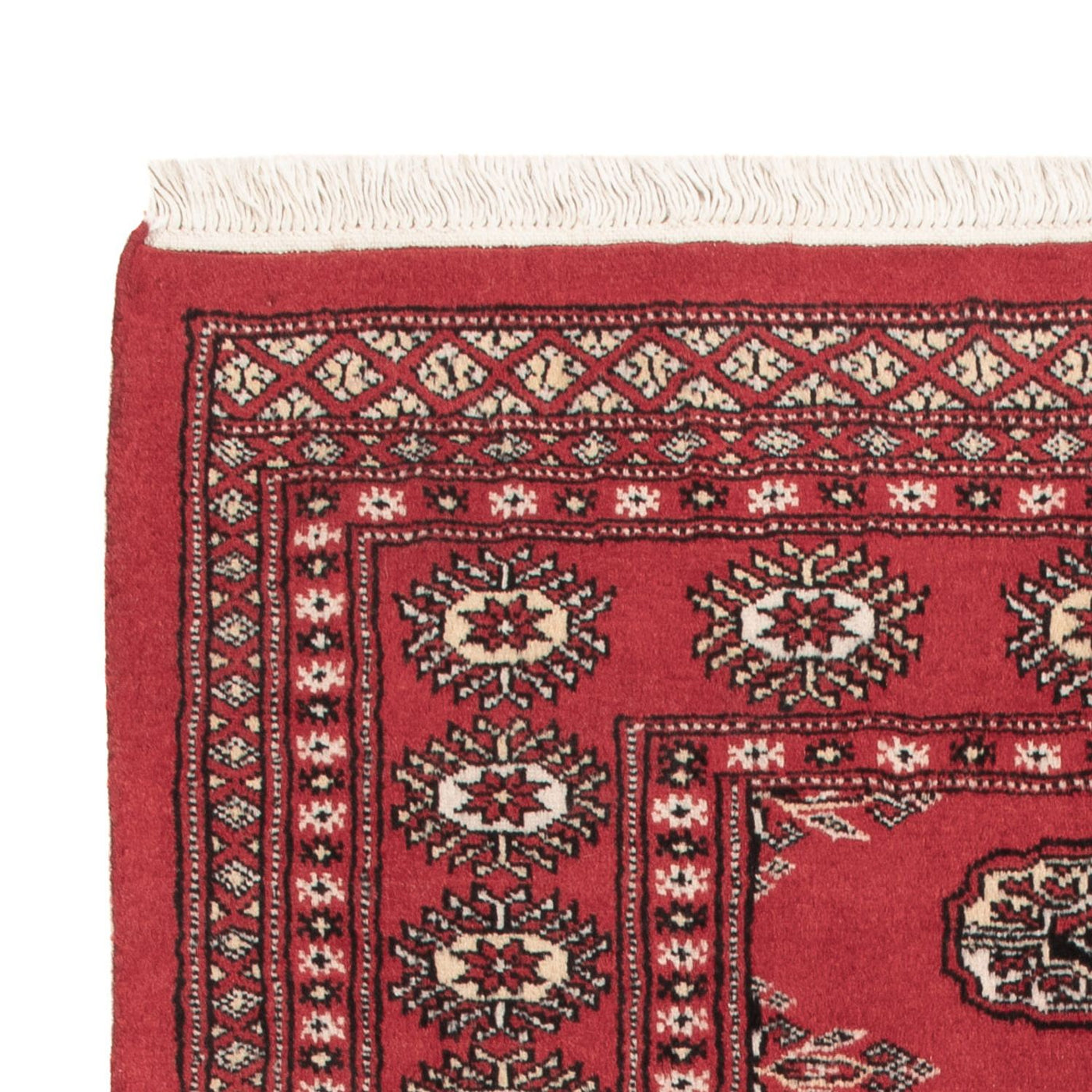 Pakistanska mattan 150x90cm - Oriental Carpet