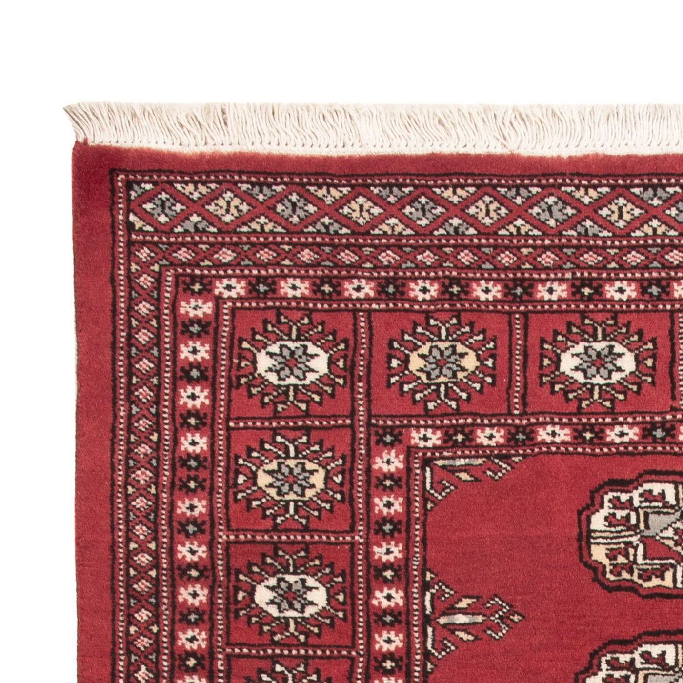 Pakistanska mattan 159x92cm - Oriental Carpet
