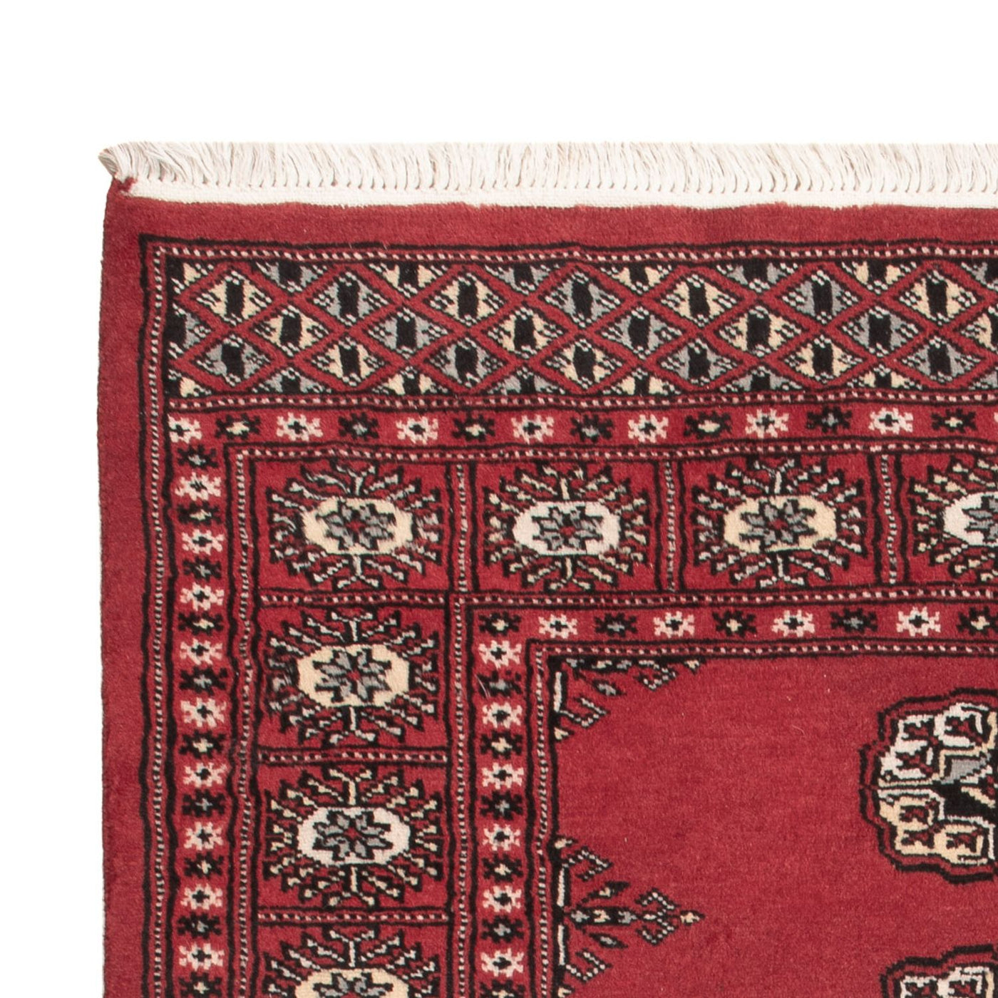 Pakistanska mattan 152x97cm - Oriental Carpet