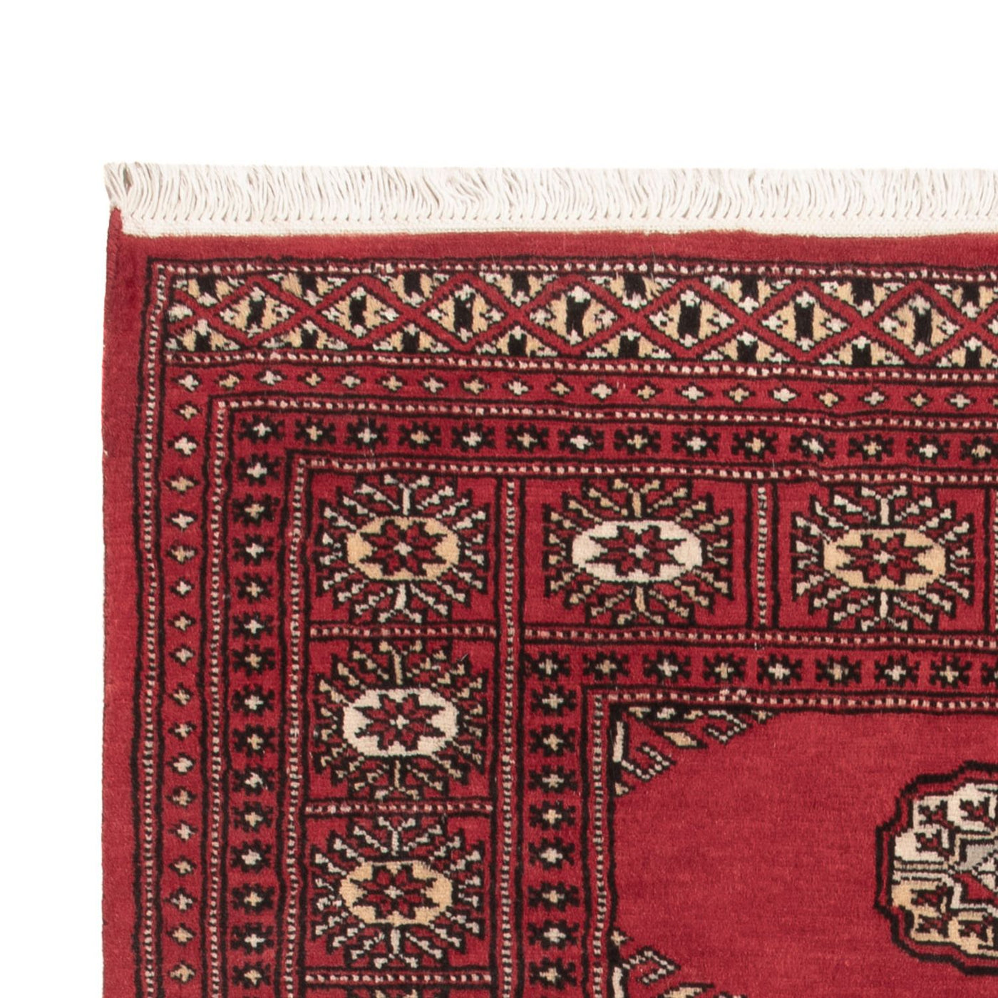 Pakistanska mattan 146x90cm - Oriental Carpet