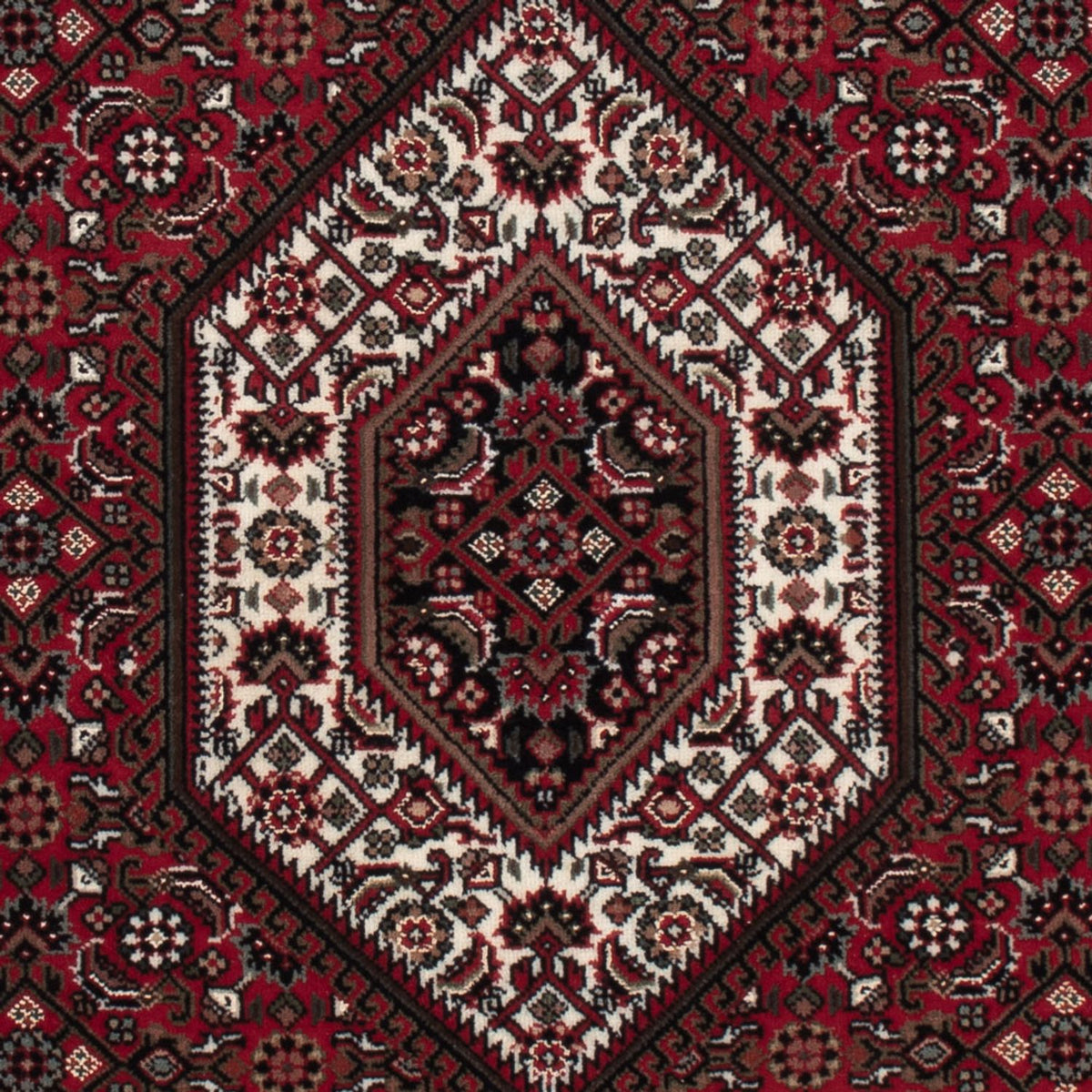 Orientaliska mattor - Bijar - Indus - 159 x 91 cm - mörk beige
