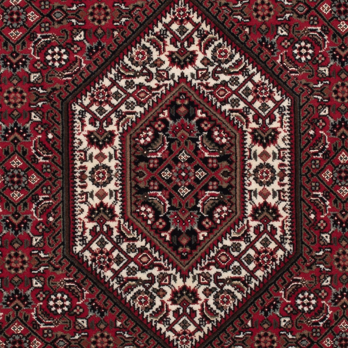 Orientaliska mattor - Bijar - Indus - 160 x 90 cm - mörk beige