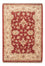 Ziegler Carpet - 85 x 59 cm - röd