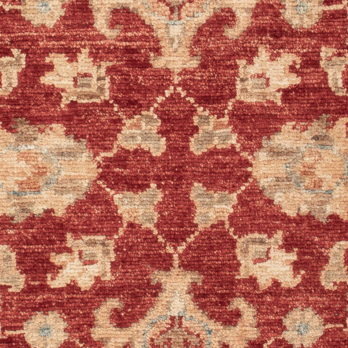 Ziegler Carpet - 85 x 59 cm - röd
