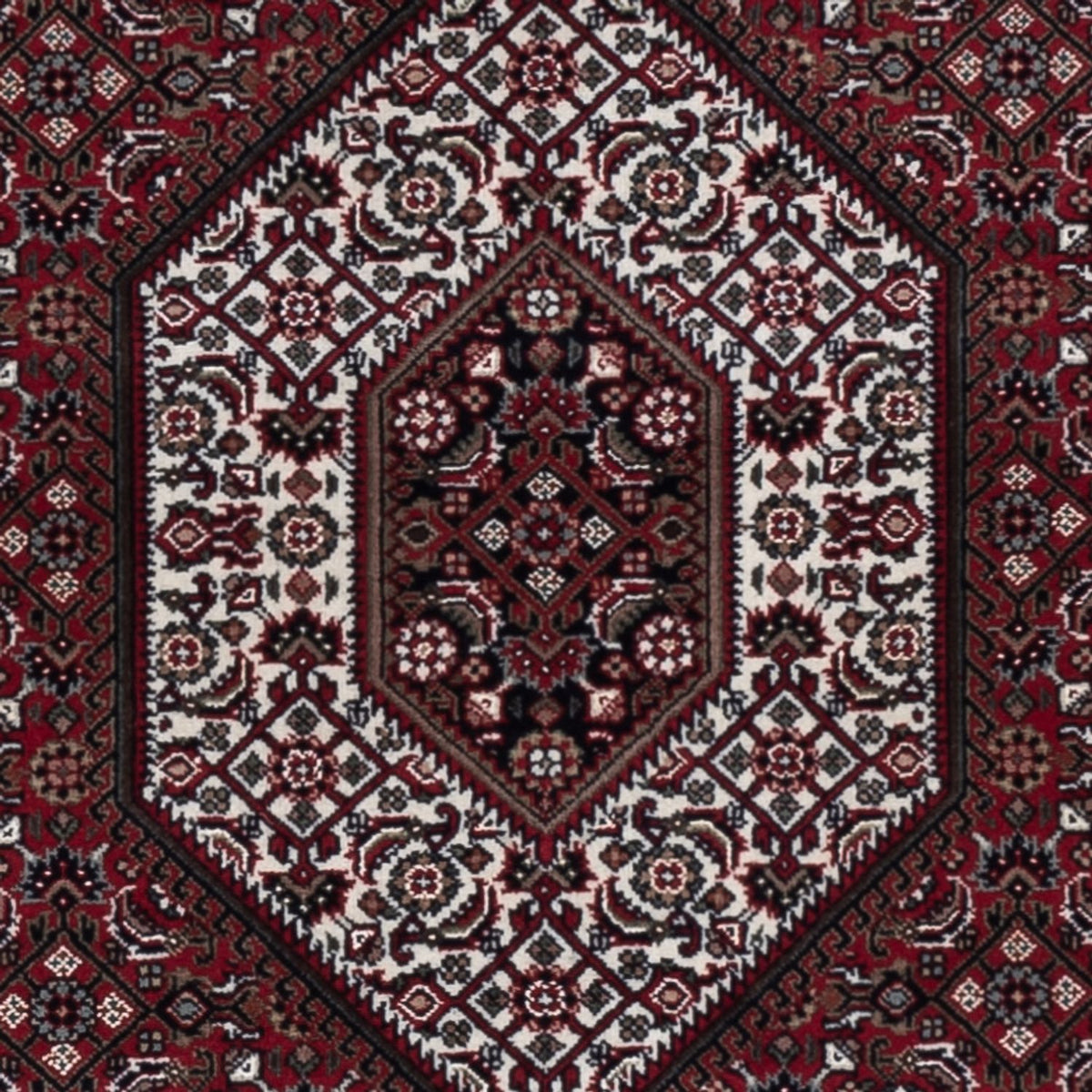 Orientaliska mattor - Bijar - Indus - 183 x 127 cm - mörk beige