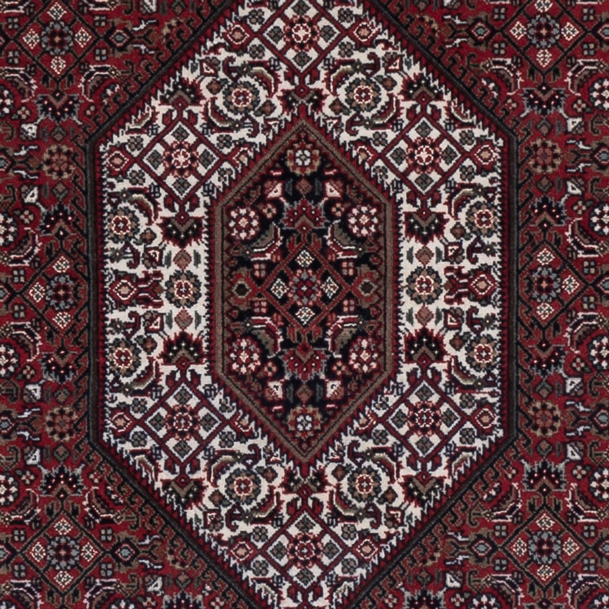 Orientaliska mattor - Bijar - Indus - 184 x 121 cm - mörk beige