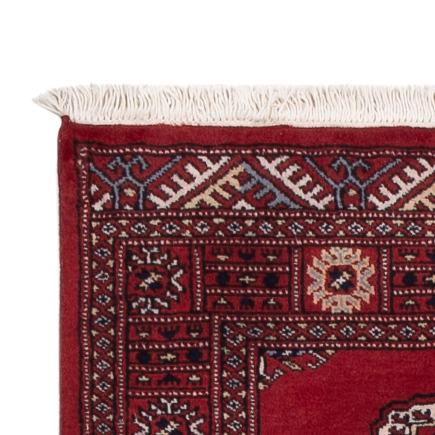 Pakistanska mattan 301x79cm - Oriental Carpet
