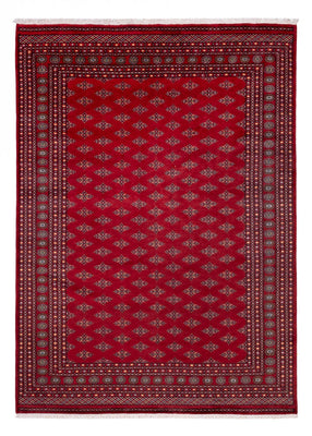 Afghansk matta - Bukhara - 350 x 253 cm - röd