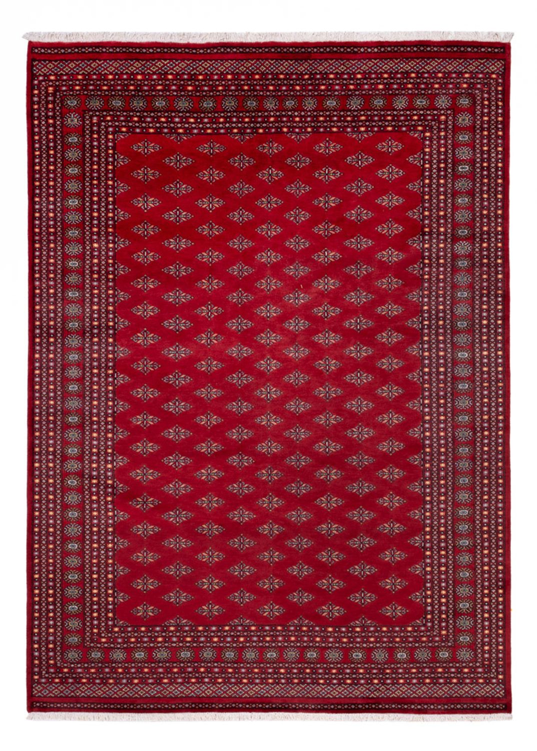 Afghansk matta - Bukhara - 350 x 253 cm - röd