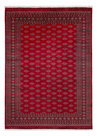 Afghansk matta - Bukhara - 350 x 253 cm - röd