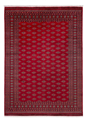 Afghansk matta - Bukhara - 350 x 253 cm - röd