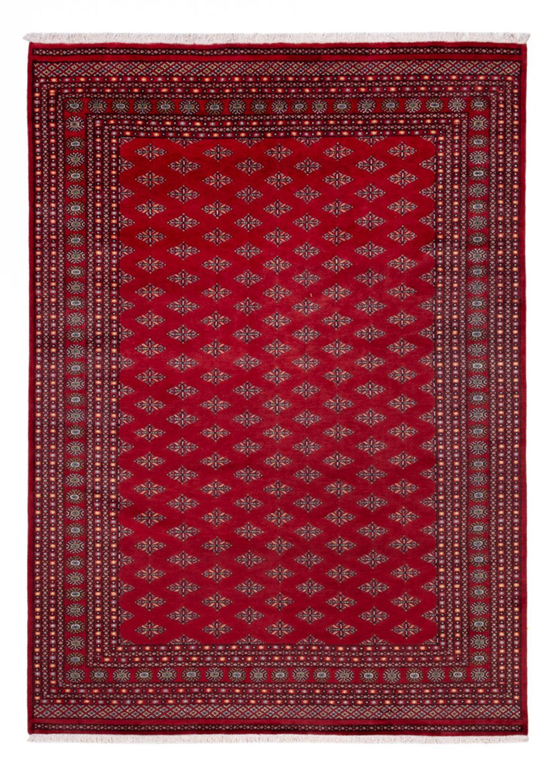 Afghansk matta - Bukhara - 350 x 253 cm - röd
