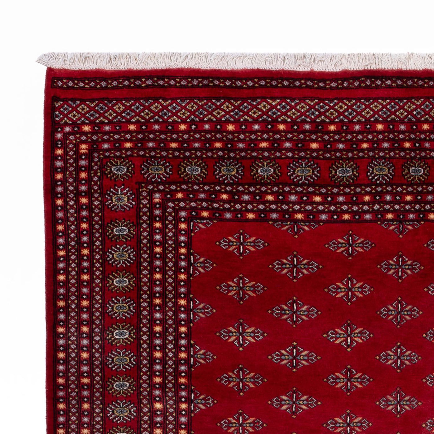 Bukhara Mattan 350x253cm - Oriental Carpet