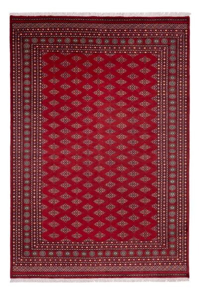 Bukhara Mattan 249x365cm - Oriental Carpet