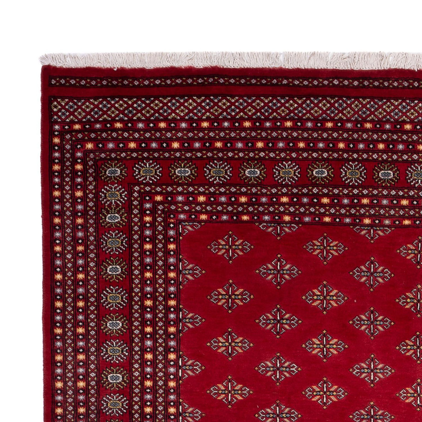 Bukhara Mattan 365x249cm - Oriental Carpet
