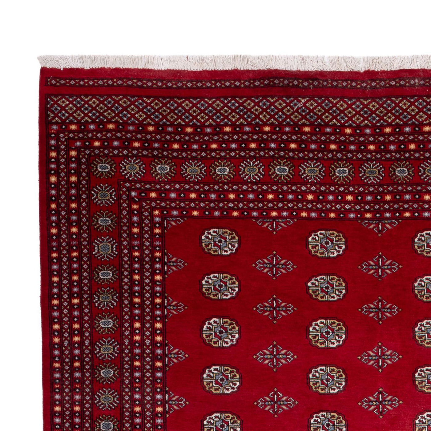 Bukhara Mattan 380x277cm - Oriental Carpet