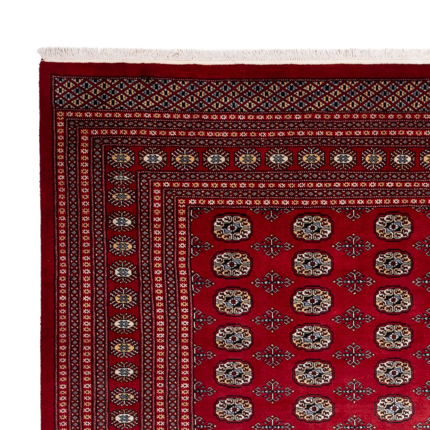 Bukhara Mattan 363x280cm - Oriental Carpet