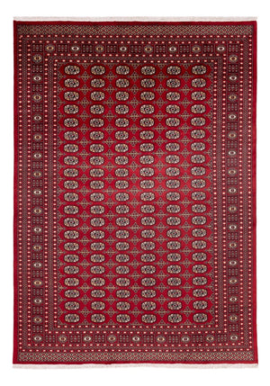 Afghansk matta - Bukhara - 346 x 241 cm - röd