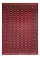 Bukhara Mattan 346x241cm - Oriental Carpet