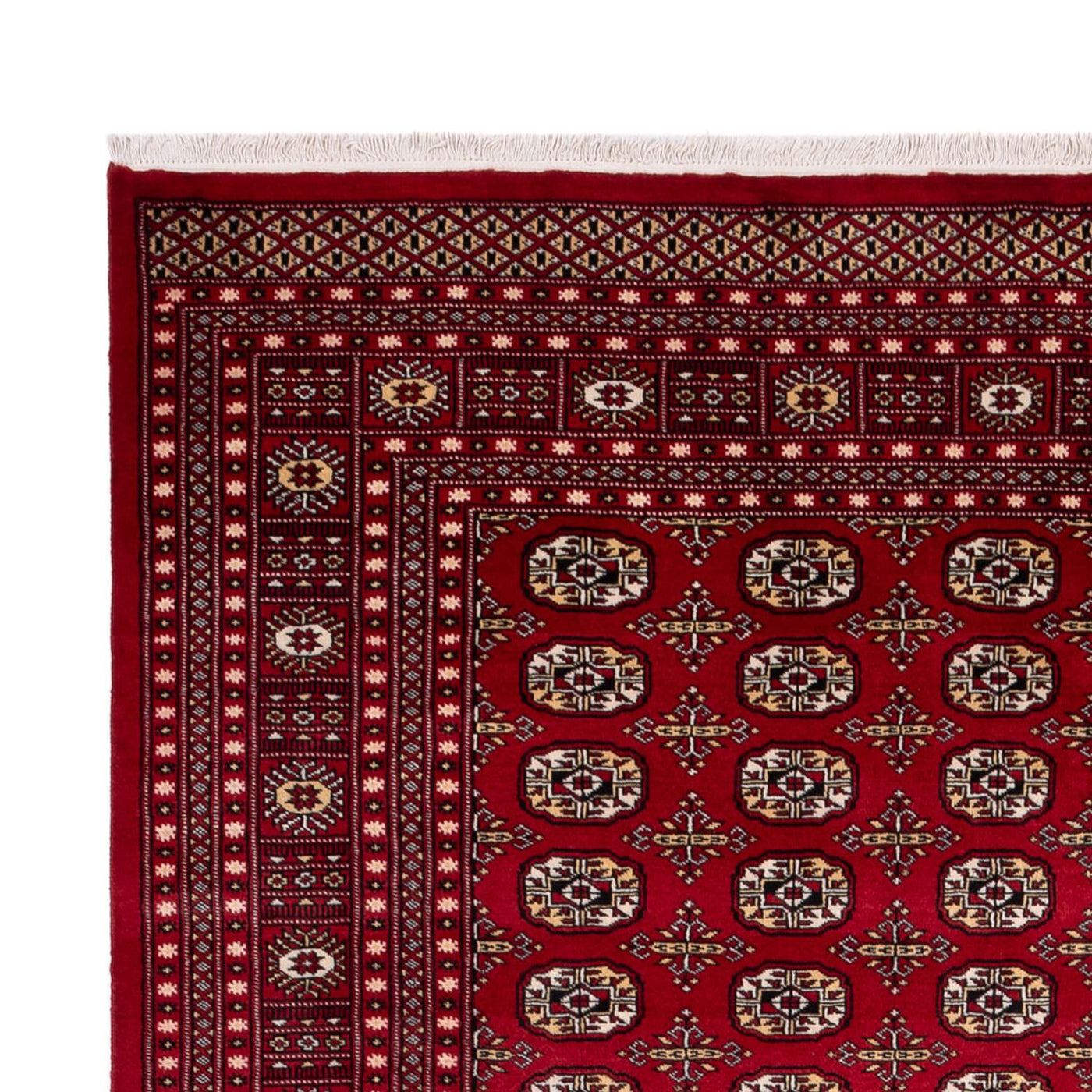 Bukhara Mattan 346x241cm - Oriental Carpet