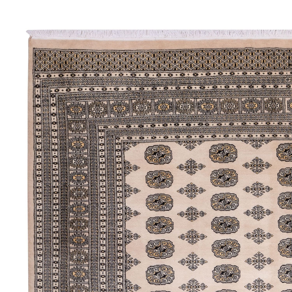 Afghansk matta - Bukhara - 359 x 278 cm - beige