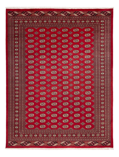 Bukhara Mattan 275x354cm - Oriental Carpet