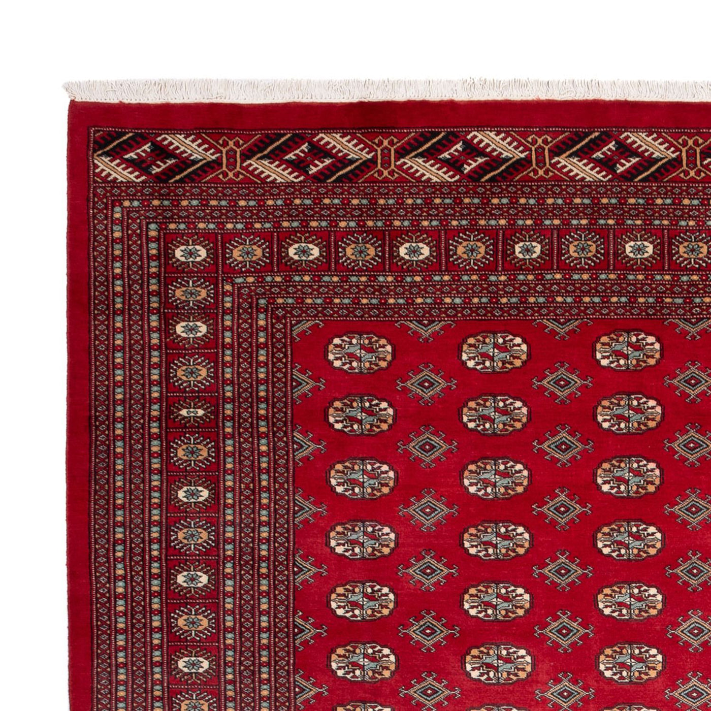 Bukhara Mattan 354x275cm - Oriental Carpet