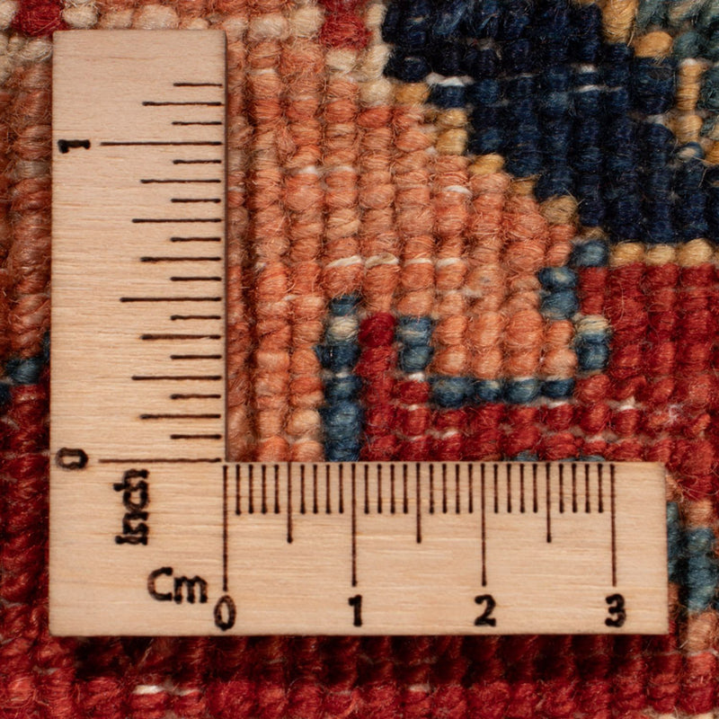 Ziegler Carpet - Ariana - 422 x 346 cm - flerfärgad