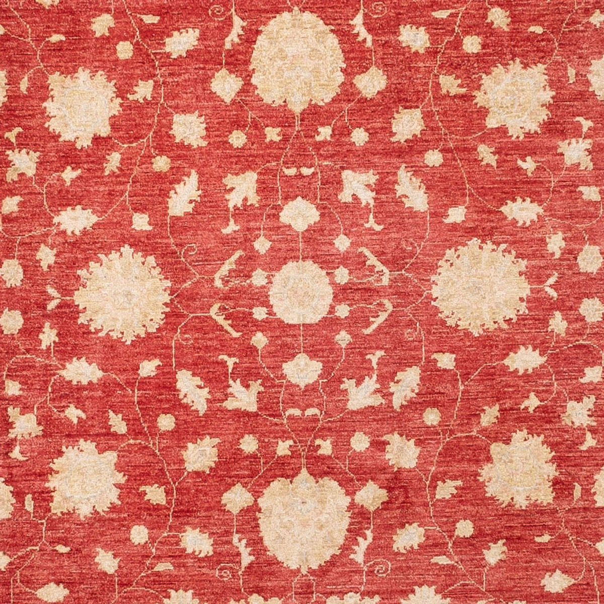 Ziegler Carpet - 413 x 198 cm - röd