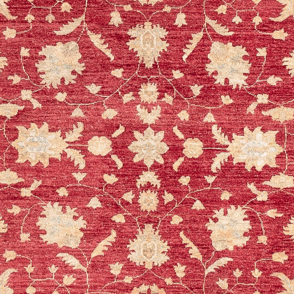 Runner Ziegler Carpet - 402 x 152 cm - röd