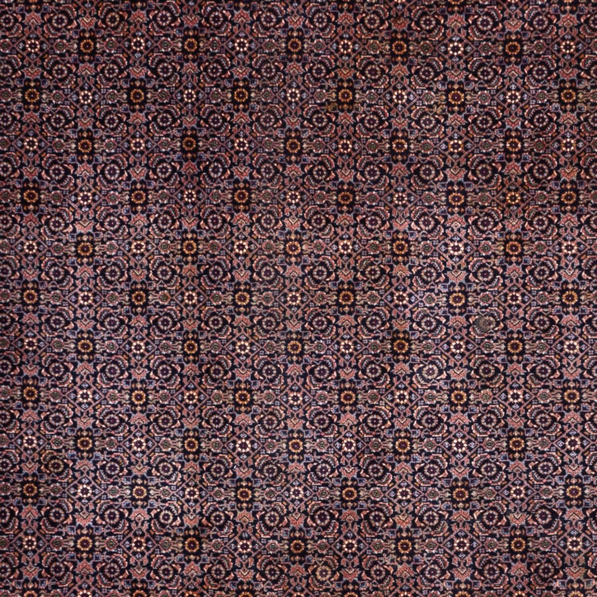 Persisk matta - Bijar - Royal - 349 x 252 cm - mörk beige