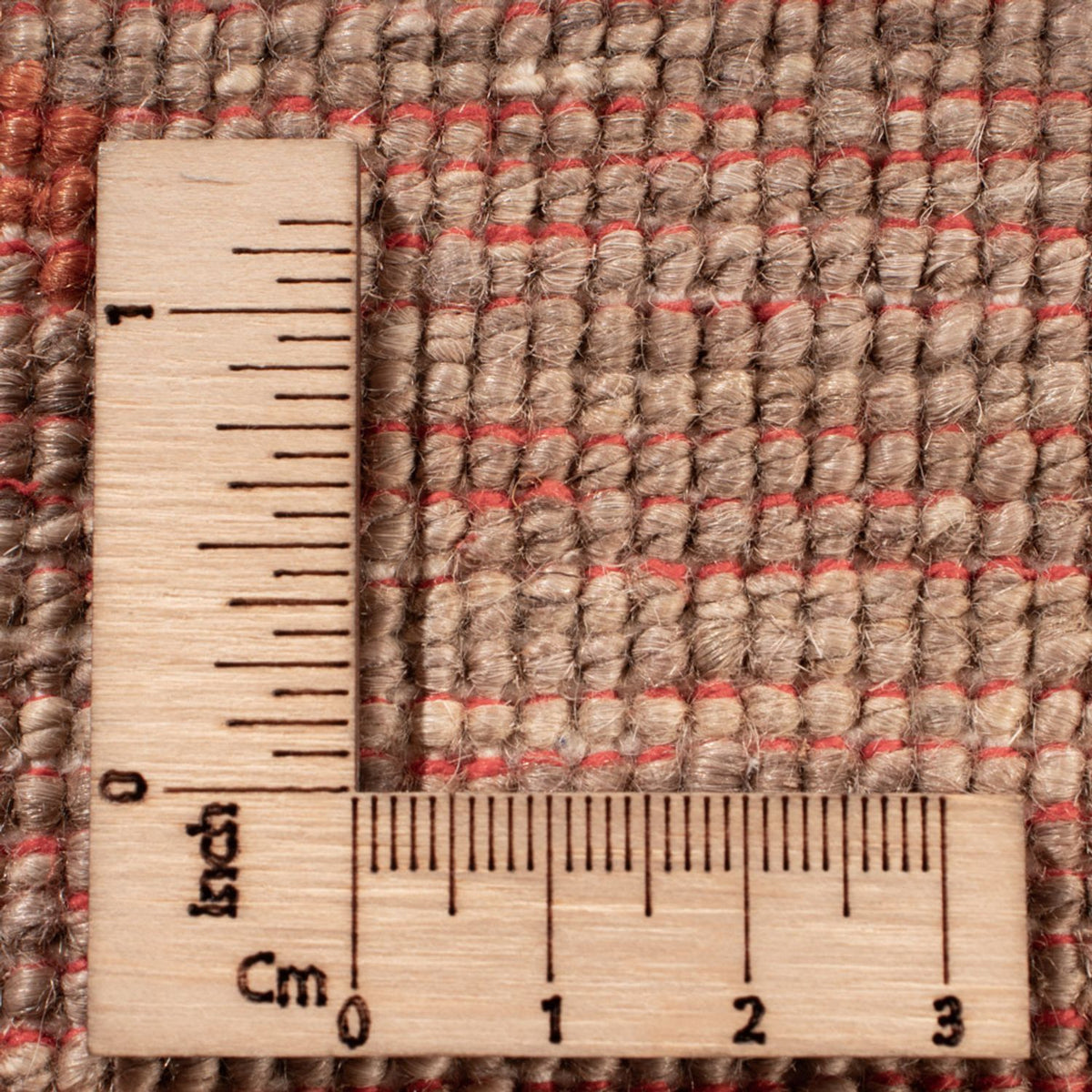 Ziegler Carpet - Ariana - 300 x 242 cm - beige