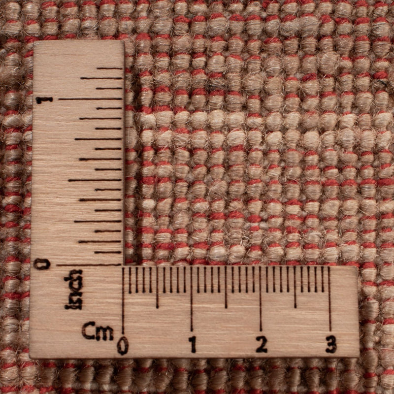 Ziegler Carpet - Ariana - 370 x 273 cm - beige