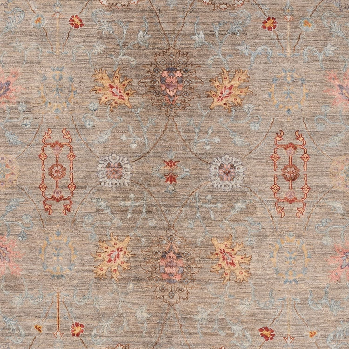 Ziegler Carpet - Ariana - 376 x 270 cm - mörk beige