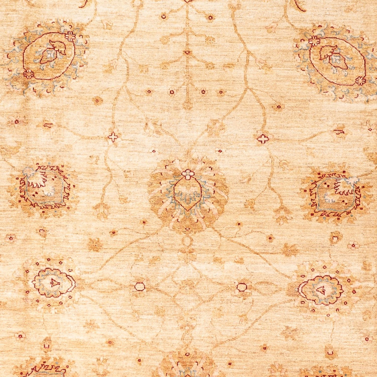 Ziegler Carpet - 584 x 394 cm - beige