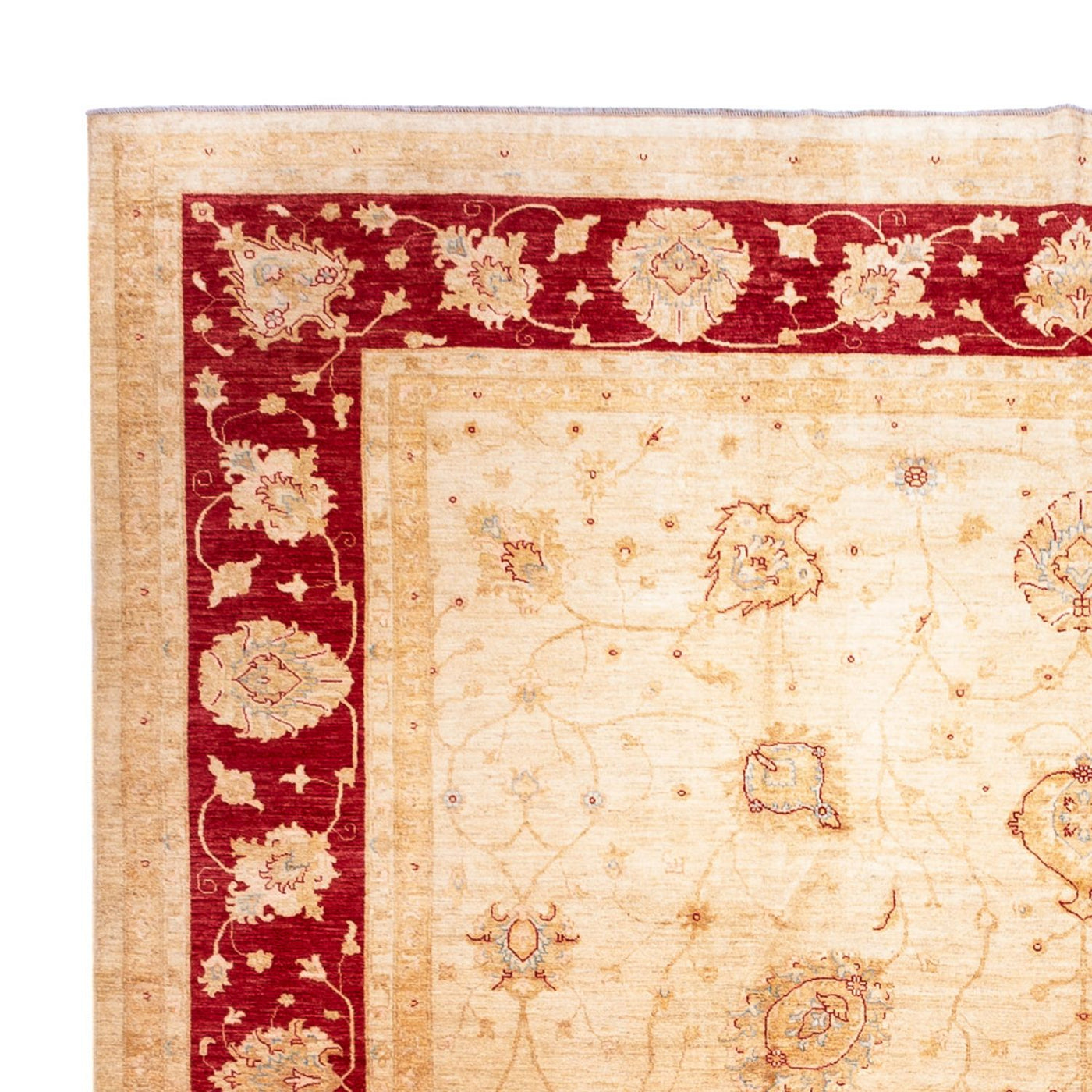 Ziegler Carpet 584x394cm - Oriental Carpet