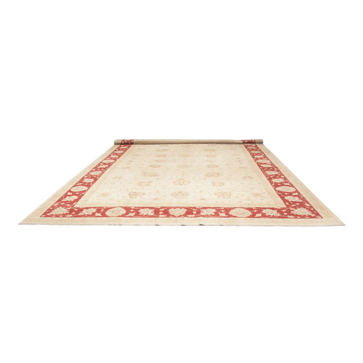 Ziegler Carpet - 584 x 394 cm - beige