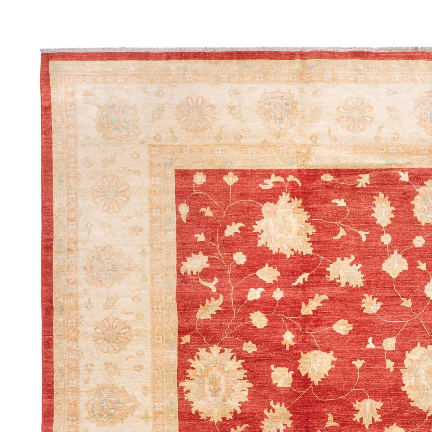 Ziegler Carpet 686x402cm - Oriental Carpet