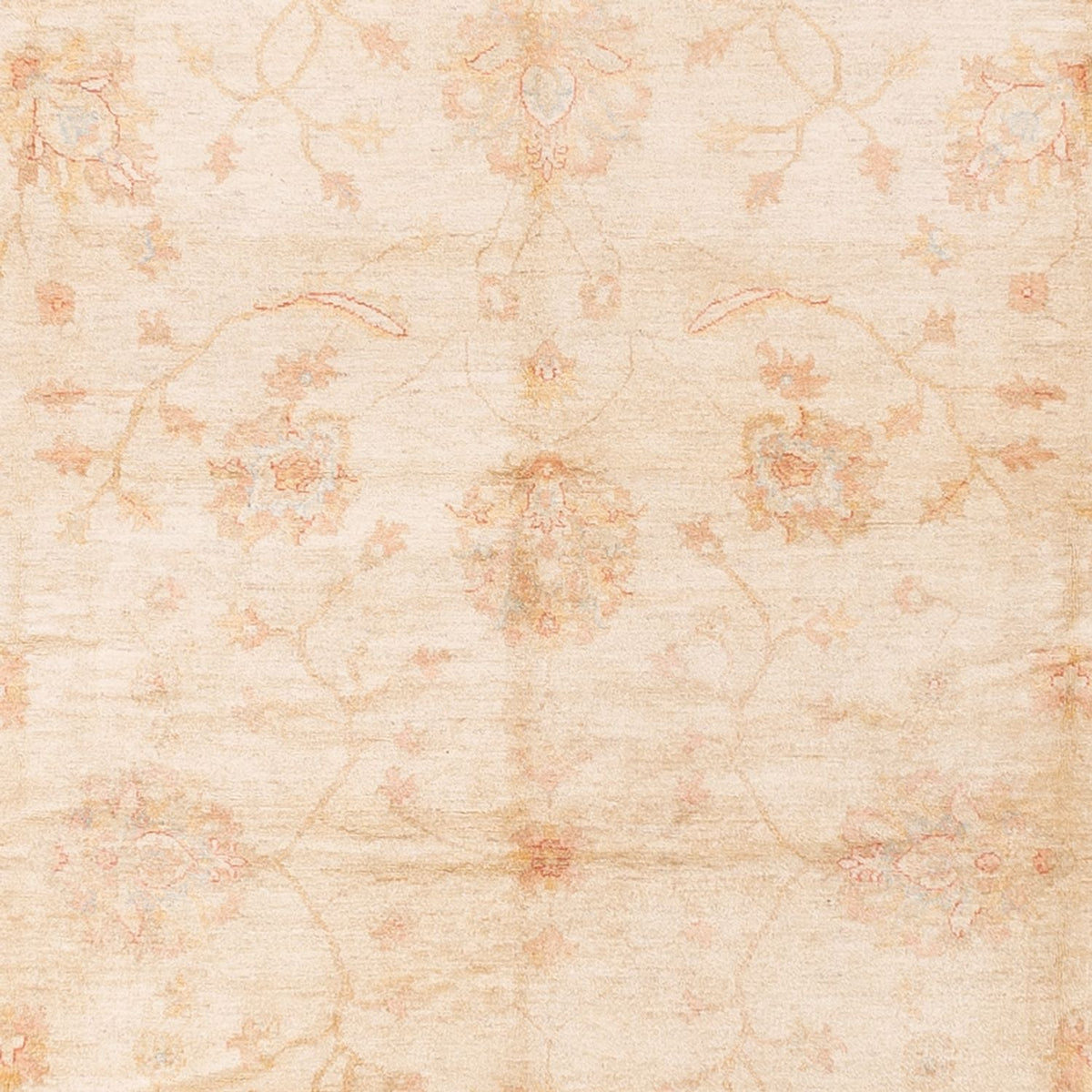 Ziegler Carpet - 592 x 403 cm - beige