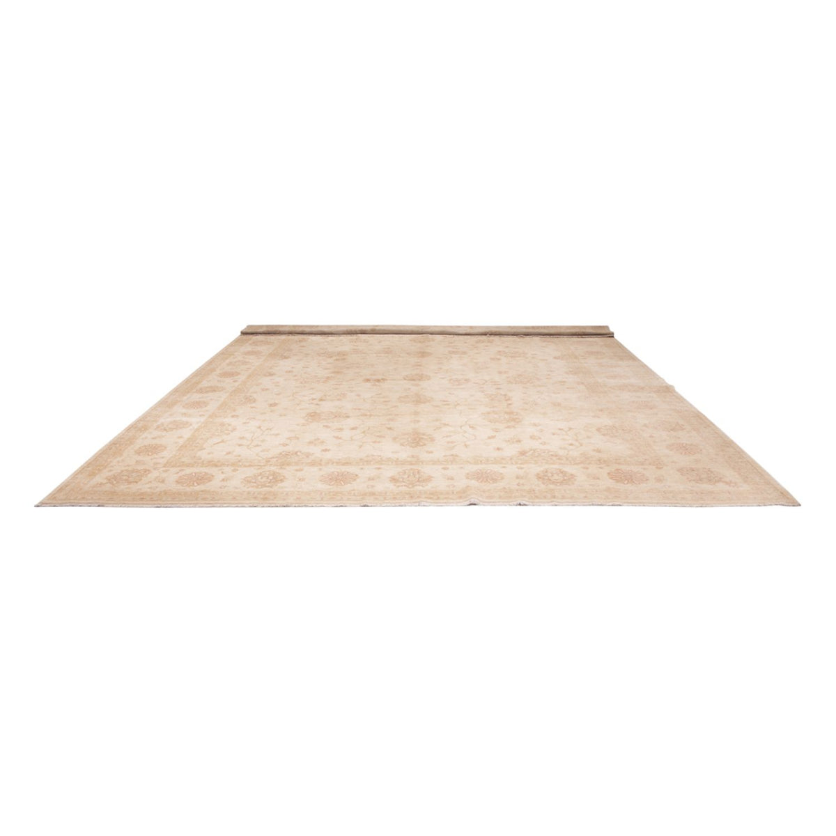 Ziegler Carpet - 592 x 403 cm - beige