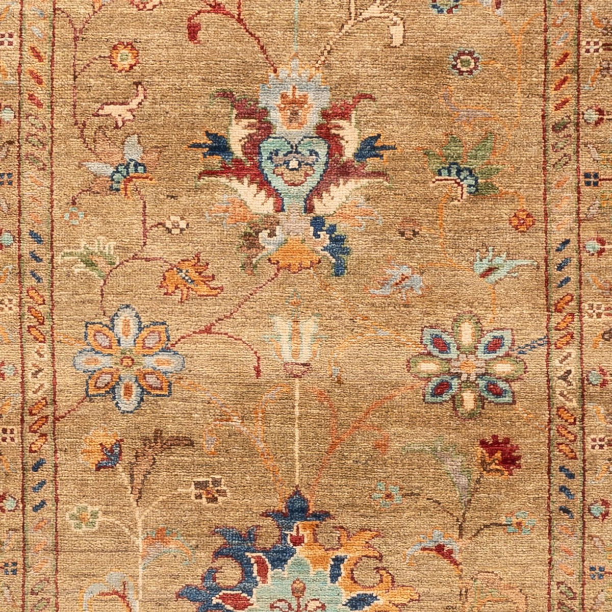 Runner Ziegler Carpet - Ariana - 313 x 78 cm - beige