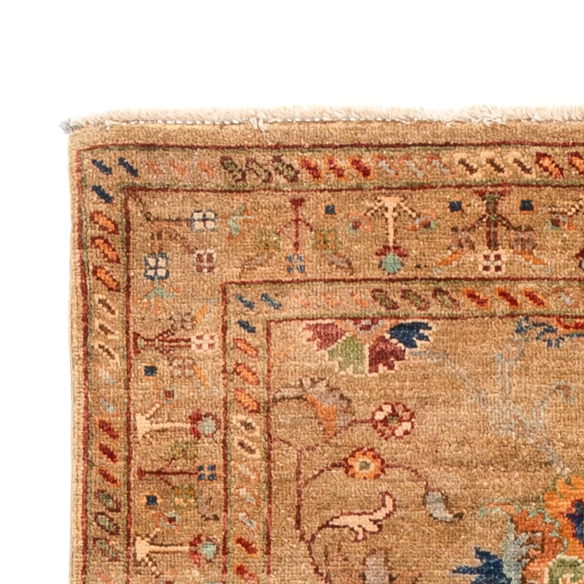 Runner Ziegler Carpet - Ariana - 313 x 78 cm - beige